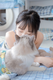 交换系列